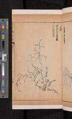 Go to image 149.