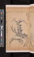 Go to image 117.