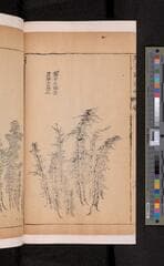 Go to image 118.