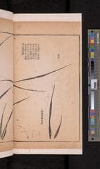 Go to image 66.