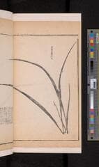 Go to image 72.