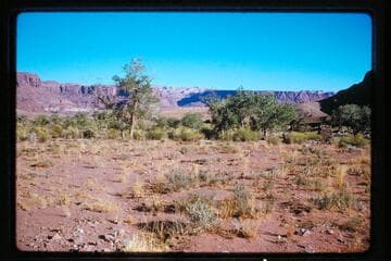 Down Ticaboo Canyon