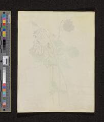 Go to image 242.
