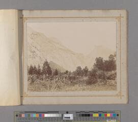 Go to image 47.