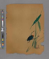 Go to image 179.