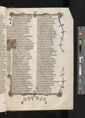 Go to image 231.