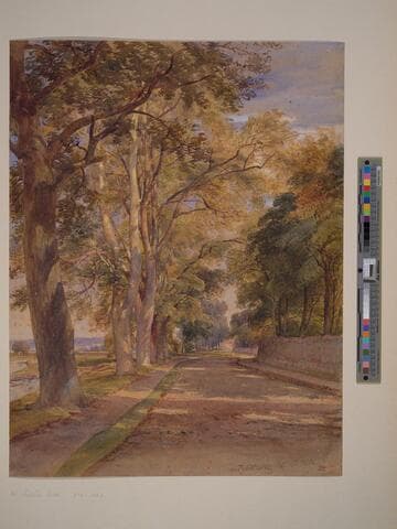 Near Teviot bridge