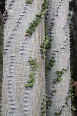 Go to image 10.