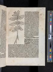 Go to image 99.