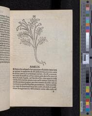 Go to image 39.