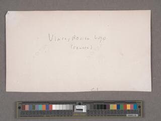 Go to image 184.