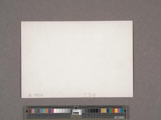 Go to image 216.