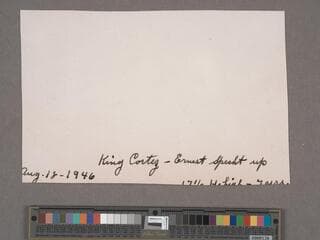 Go to image 194.