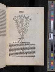 Go to image 279.