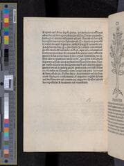Go to image 240.