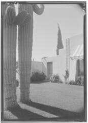 Go to image 5.