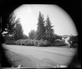 Go to image 1.