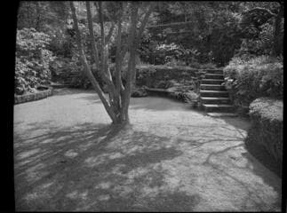 Go to image 12.