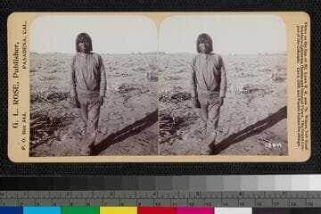 Go to image 1.