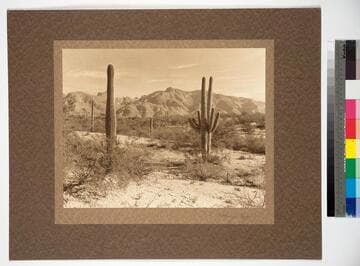 In Apache Land