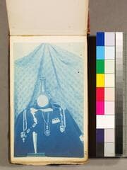 Go to image 79.