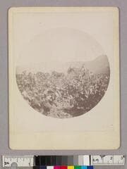 Go to image 1.