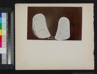 Go to image 72.