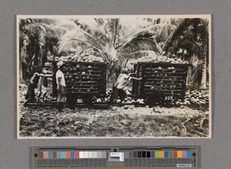 Go to image 211.
