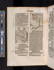 Go to image 642.