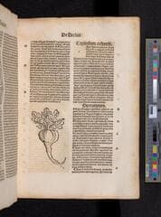 Go to image 289.
