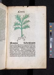 Go to image 273.
