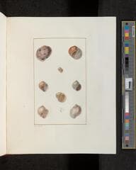 Go to image 225.