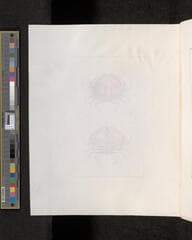 Go to image 280.