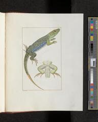 Go to image 355.