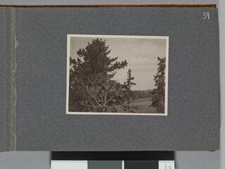 Go to image 41.
