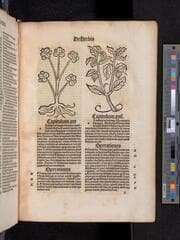 Go to image 21.
