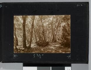 Go to image 83.