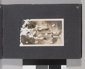 Go to image 49.