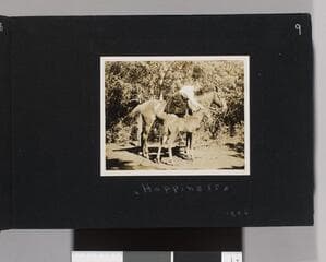Go to image 11.