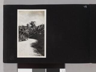 Go to image 80.
