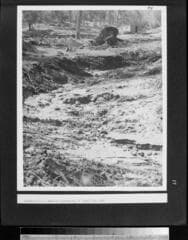 Go to image 18.