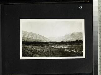 Go to image 53.