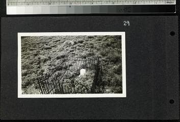 Go to image 31.