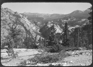 Fish Valley