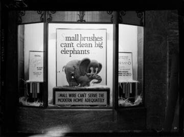 Lobby Window
