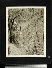 Go to image 53.
