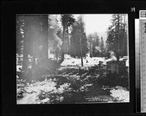 Go to image 40.