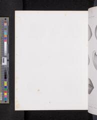 Go to image 595.
