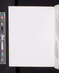 Go to image 401.
