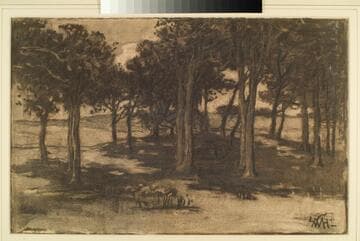 Wooded Landscape